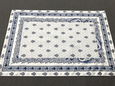blue and white coated table mats